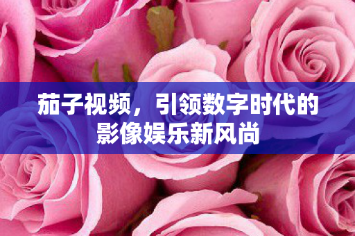 引领数字时代的影像娱乐新风尚图片