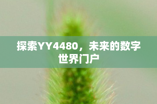 未来的数字世界门户图片