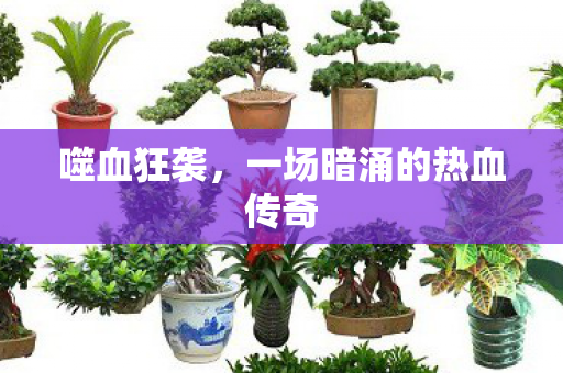 一场暗涌的热血传奇图片