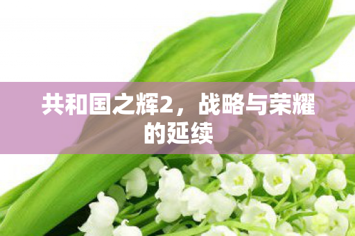 战略与荣耀的延续图片
