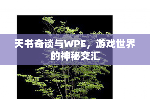 游戏世界的神秘交汇图片