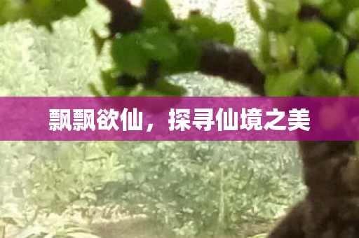 探寻仙境之美图片