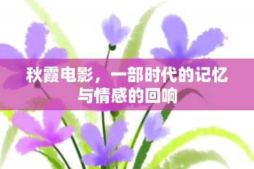 一部时代的记忆与情感的回响图片