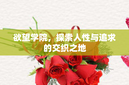 探索人性与追求的交织之地图片
