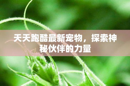 探索神秘伙伴的力量图片