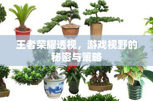 游戏视野的秘密与策略图片