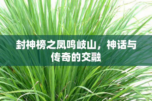 封神榜之凤鸣岐山图片