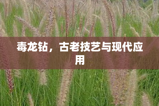 古老技艺与现代应用图片
