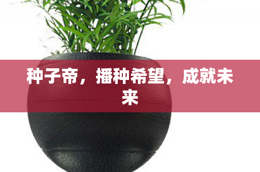 播种希望图片