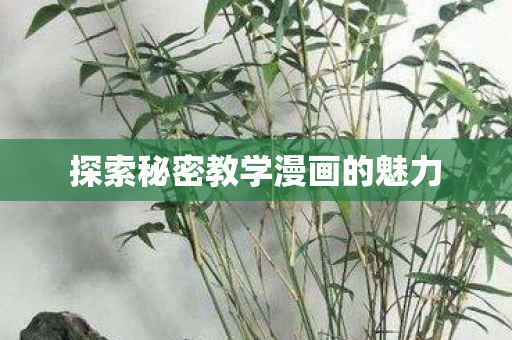 探索秘密教学漫画的魅力图片
