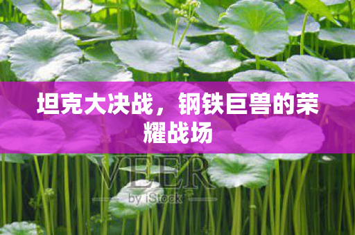 钢铁巨兽的荣耀战场图片