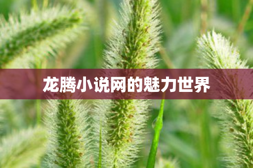 龙腾小说网的魅力世界图片