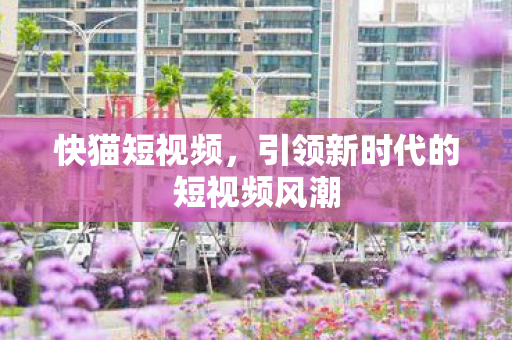 引领新时代的短视频风潮图片