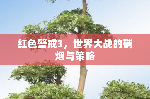 世界大战的硝烟与策略图片
