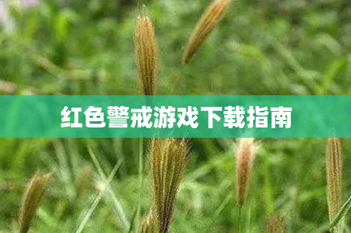 红色警戒游戏下载指南图片