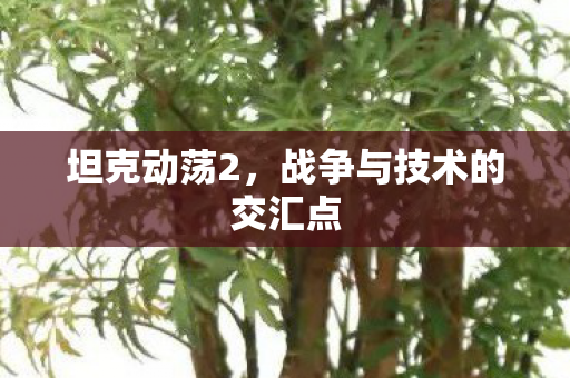 战争与技术的交汇点图片