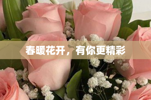 有你更精彩图片