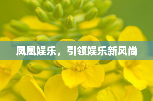 引领娱乐新风尚图片