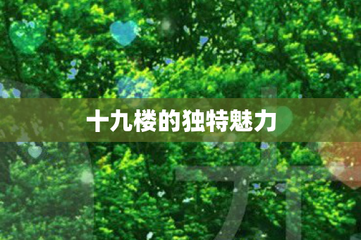 十九楼的独特魅力图片