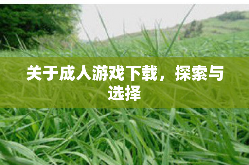 关于成人游戏下载图片