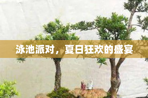 夏日狂欢的盛宴图片
