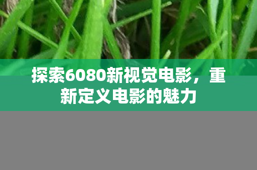 探索6080新视觉电影图片