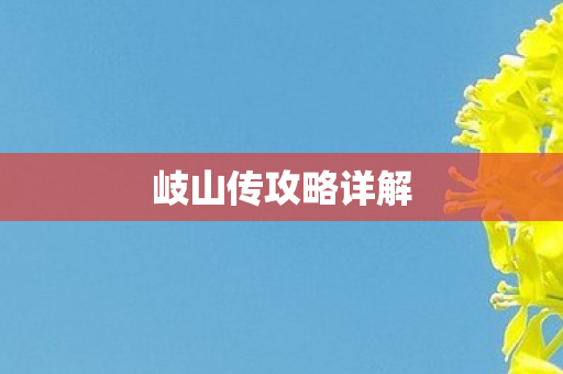 岐山传攻略详解图片