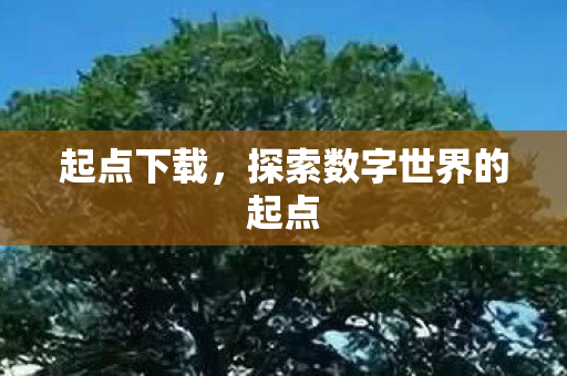 探索数字世界的起点图片