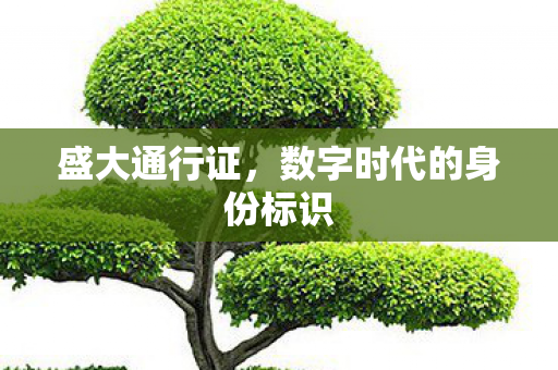 数字时代的身份标识图片