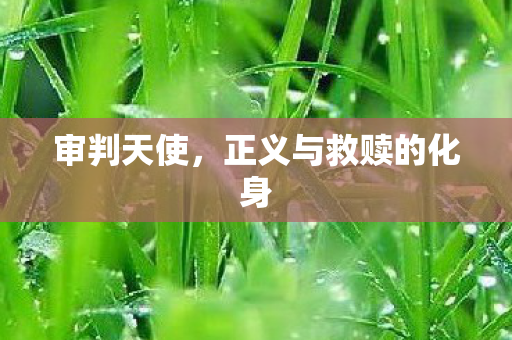 正义与救赎的化身图片