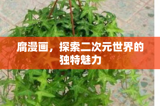 探索二次元世界的独特魅力图片