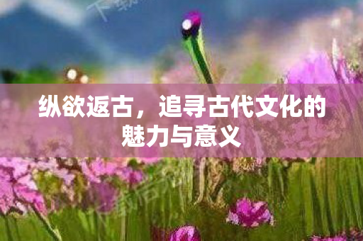 追寻古代文化的魅力与意义图片