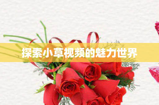 探索小草视频的魅力世界图片