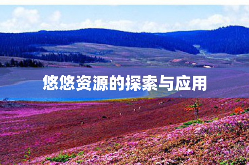 悠悠资源的探索与应用图片