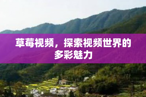 探索视频世界的多彩魅力图片