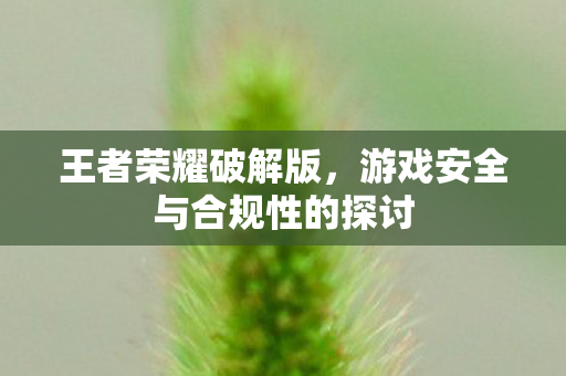 游戏安全与合规性的探讨图片