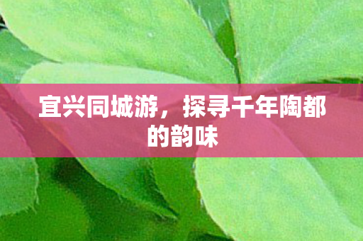 探寻千年陶都的韵味图片