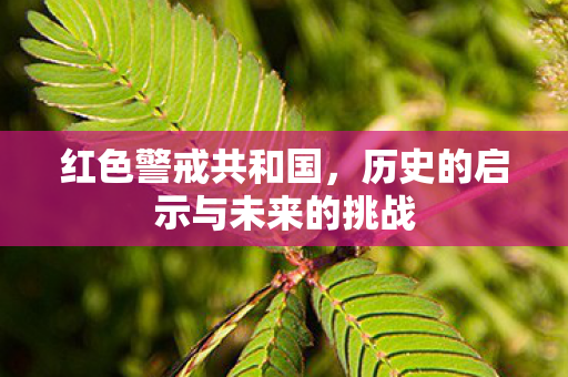历史的启示与未来的挑战图片