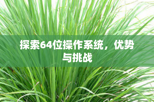 探索64位操作系统图片