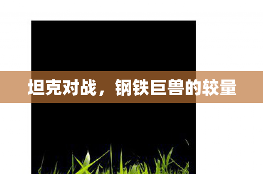 钢铁巨兽的较量图片