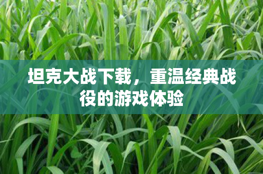 重温经典战役的游戏体验图片