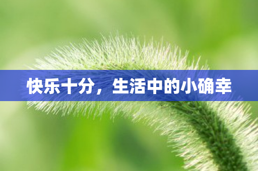 生活中的小确幸图片