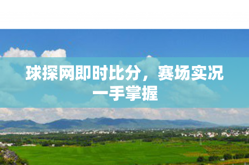 赛场实况一手掌握图片
