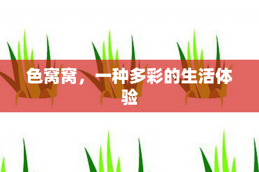 一种多彩的生活体验图片