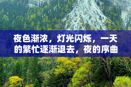 充满了别样的趣味与魅力图片