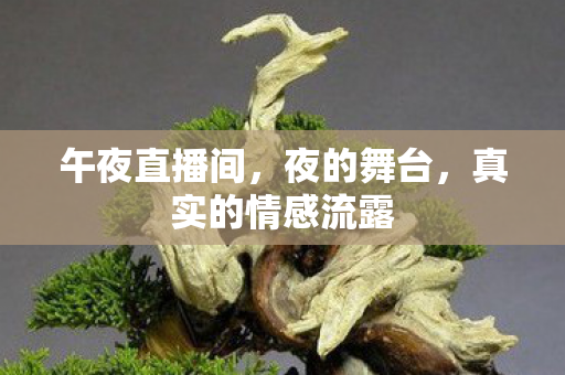真实的情感流露图片