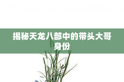 揭秘天龙八部中的带头大哥身份图片