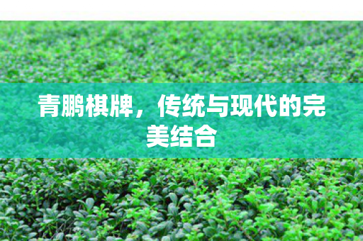传统与现代的完美结合图片