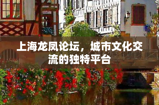 城市文化交流的独特平台图片