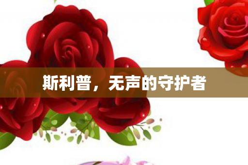 无声的守护者图片